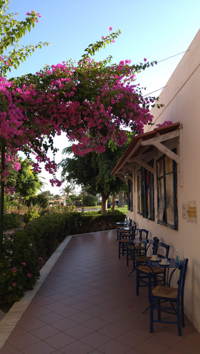 Gastro Anissa Beach & Village