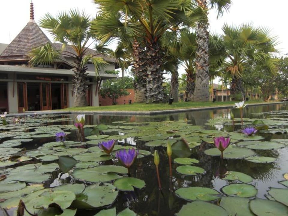 Blick zur Rezeption Hotel Pattara Resort And Spa