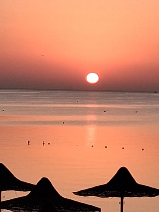 Sonstiges Giftun Azur Resort