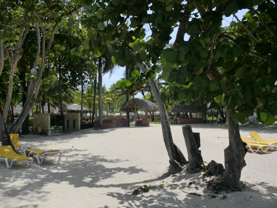 Strand Iberostar Waves Costa Dorada