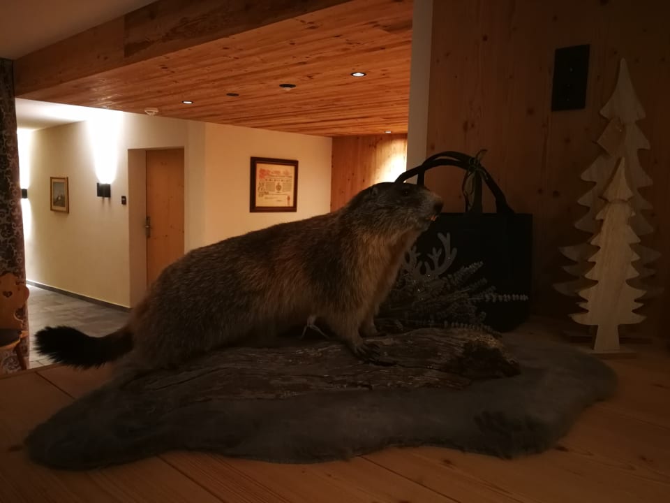 Pool Hotel Torgglerhof