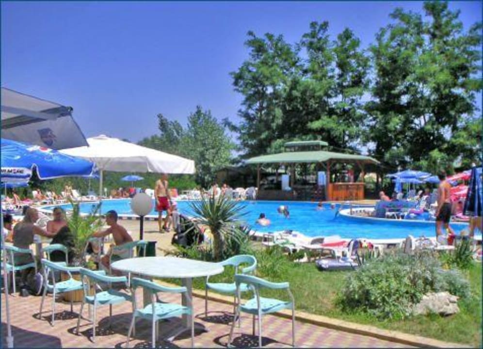 Swimmingpool Hotel Sirena Delphin