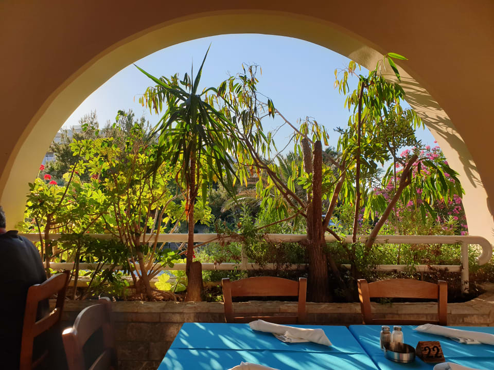Gartenanlage Hotel Kalithea Mare Palace