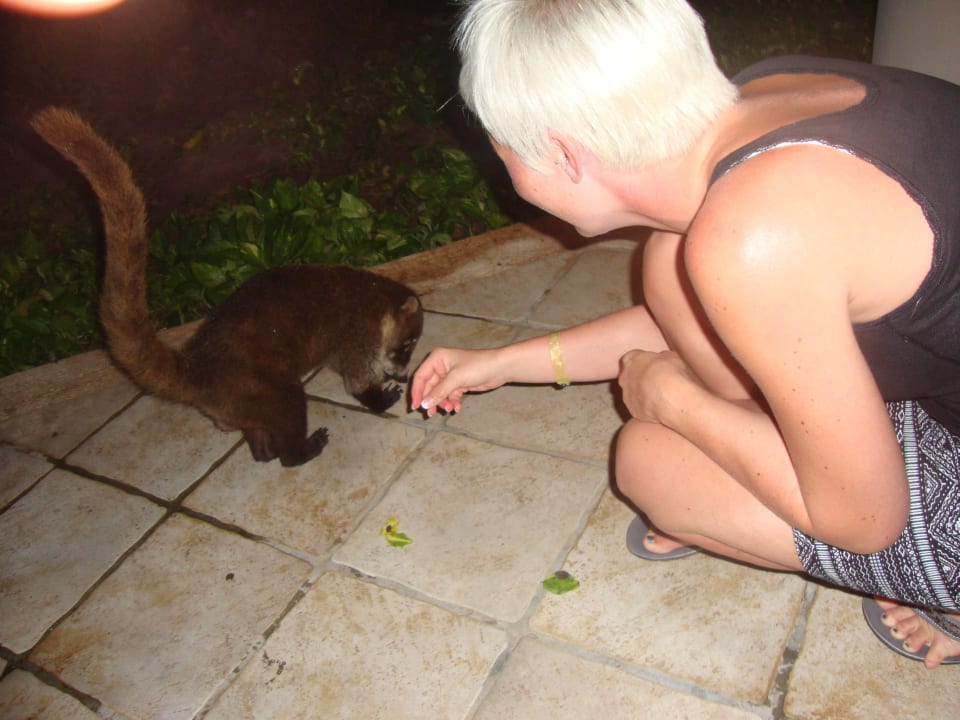 Hotel Catalonia Playa Maroma Catalonia Playa Maroma