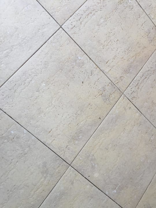 Tote Insekten überall im Zimmer Hotel Titanic Palace