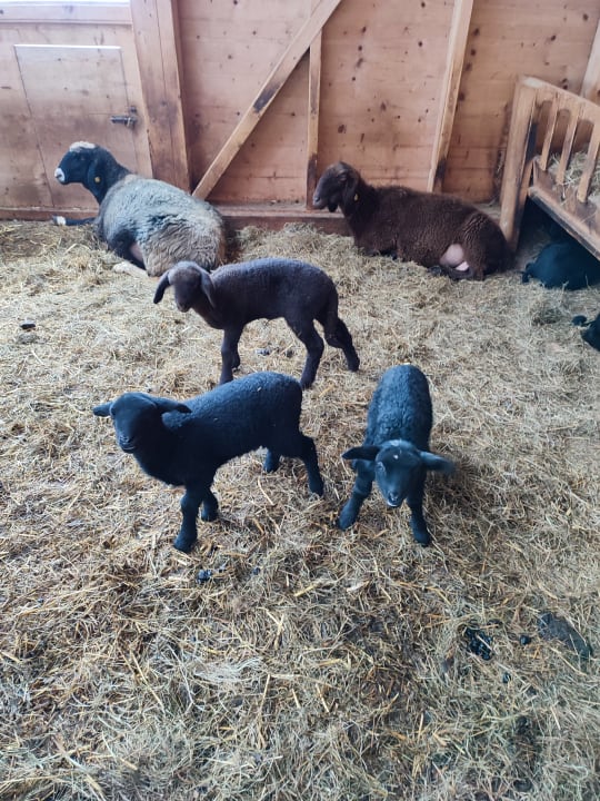 Gartenanlage Kinderhotel Felben