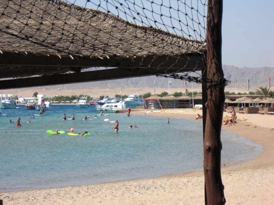 Strandsicht von der Tauchschule Eagles Paradise Abu Soma