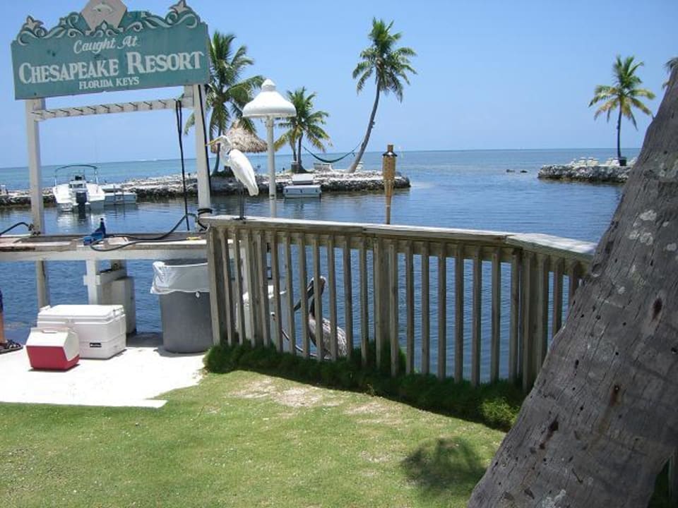 Anlegesteg zur Angeltour hinter dem Resort Hotel Chesapeake Resort