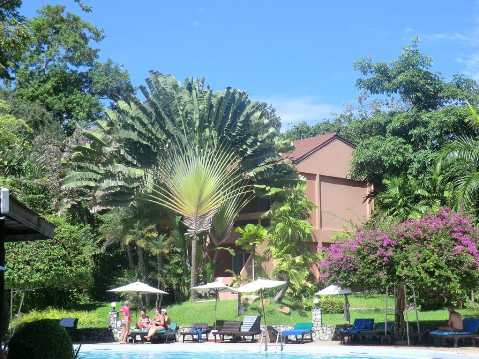 Blick vom Pool Loma Resort & Spa