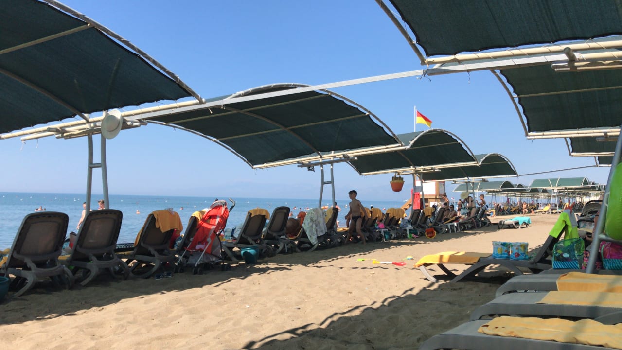 Strand Papillon Belvil