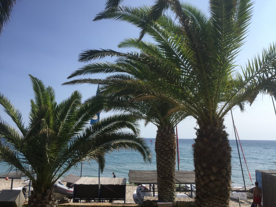 Ausblick ROBINSON DAIDALOS