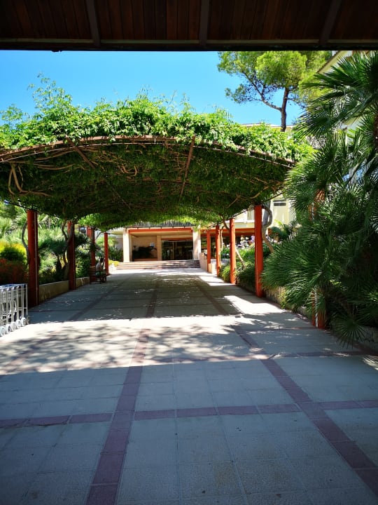 Außenansicht Zafiro Bahia