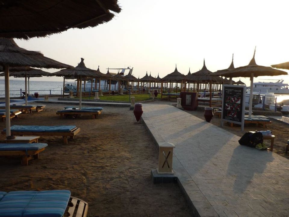 Liegenkampf  6Uhr morgens Beach Albatros Resort