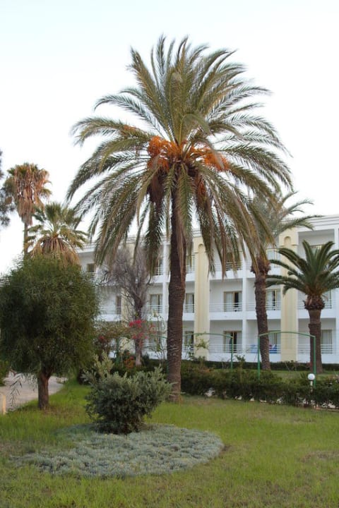 Hotel z ogrodu Ruspina Beach Resort