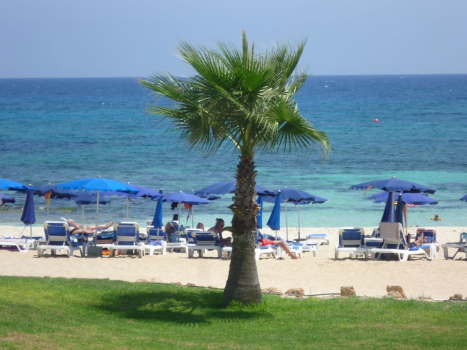 Strand & Meer Asterias Beach