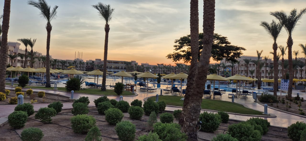 Pool Pickalbatros Palace Resort