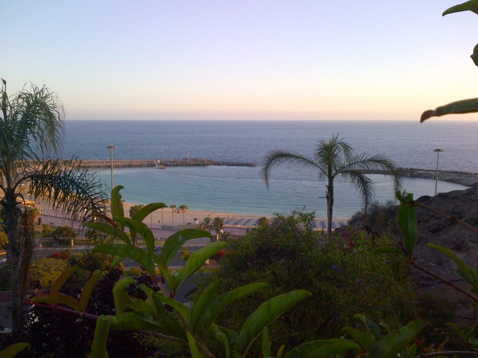 Green and sea everywhere. Gloria Palace Royal Hotel & Spa