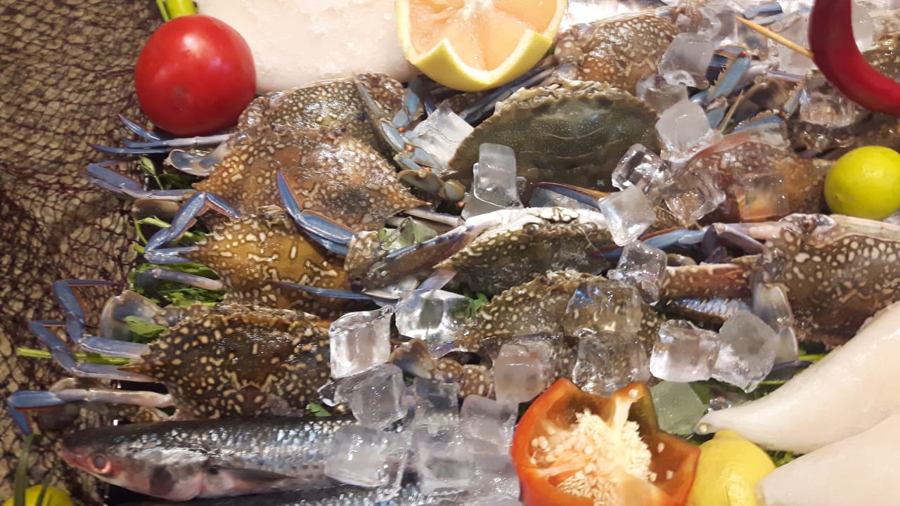 Gastro Sentido Mamlouk Palace Resort