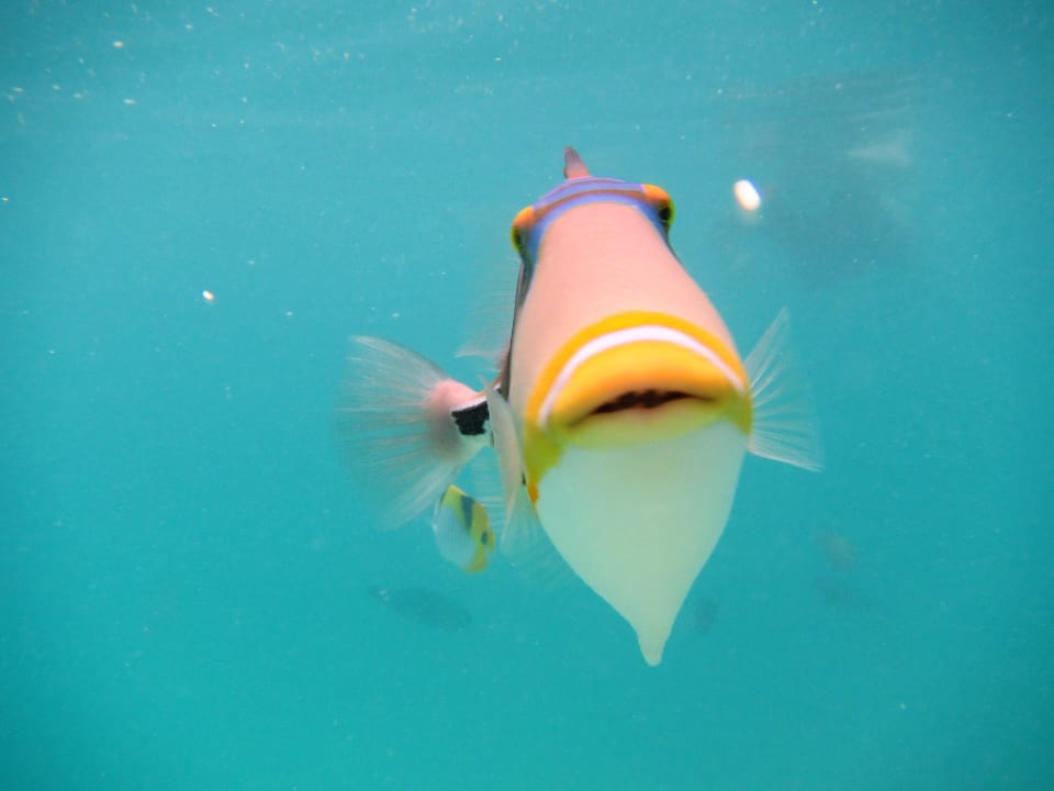 Strand Cinnamon Dhonveli Maldives