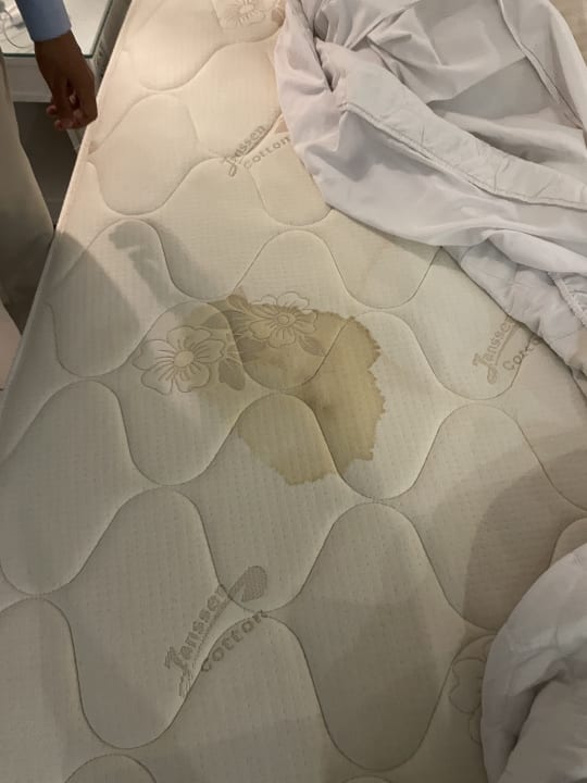 Zimmer The Grand Palace - Adults only