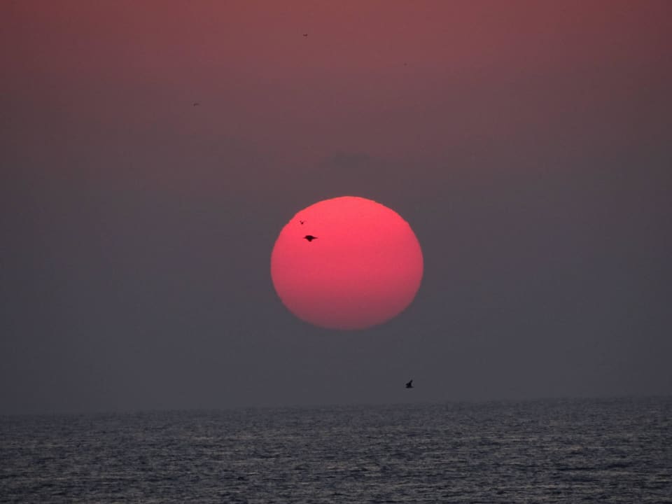 Sonnenaufgang 6:00 Wyndham Garden Salalah Mirbat