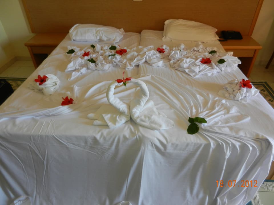 Geburtstagsüberraschung Nour Palace Resort & Thalasso