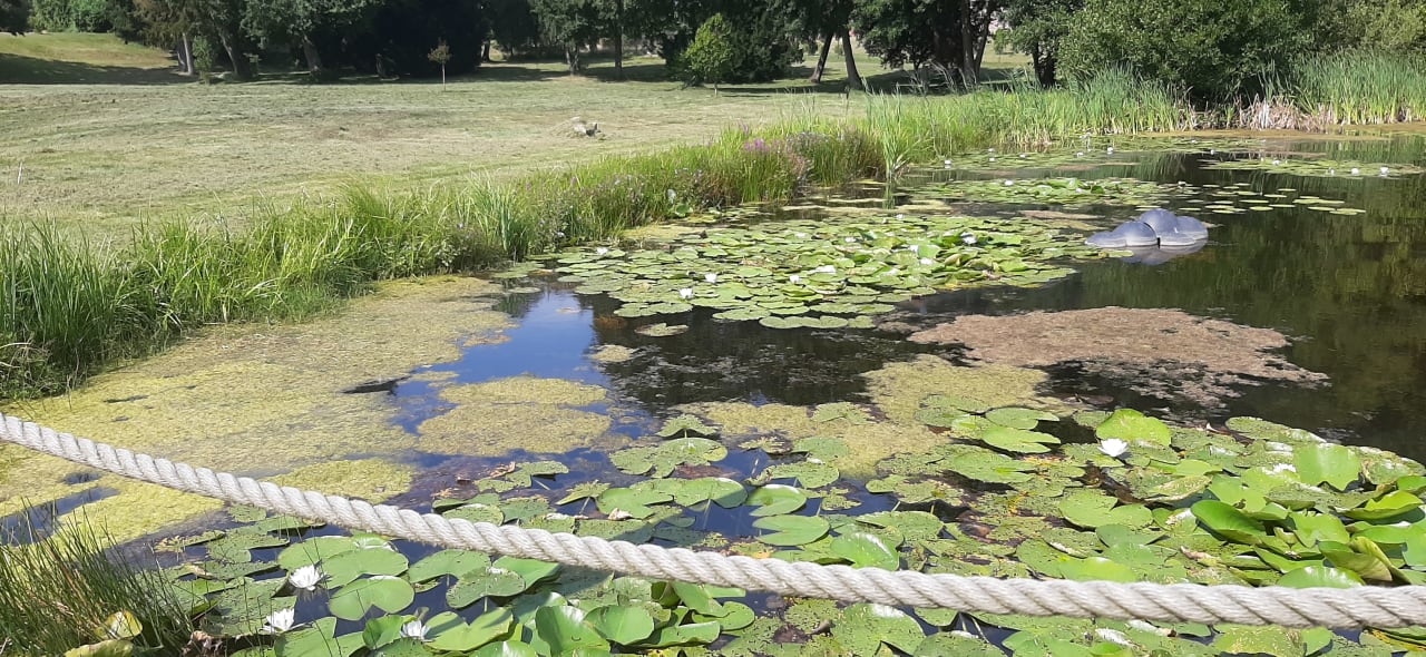 Strand Bernsteinschloss