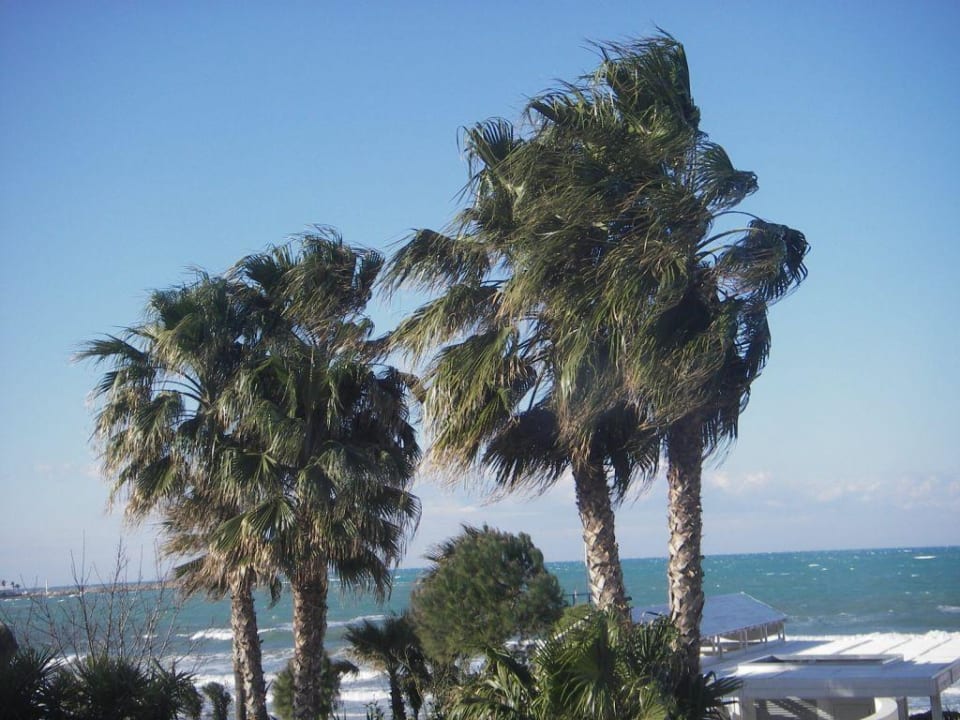 Windige Zeiten Side Star Beach