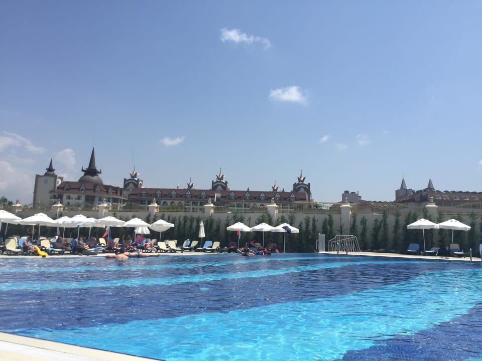 Pool 4 Well Palace Side