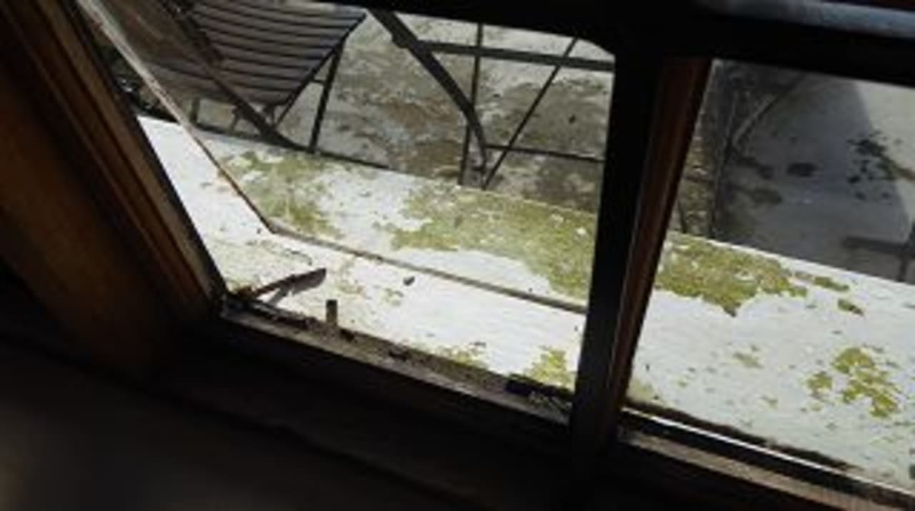 Zimmer Guesthouse The Thorntree Country House