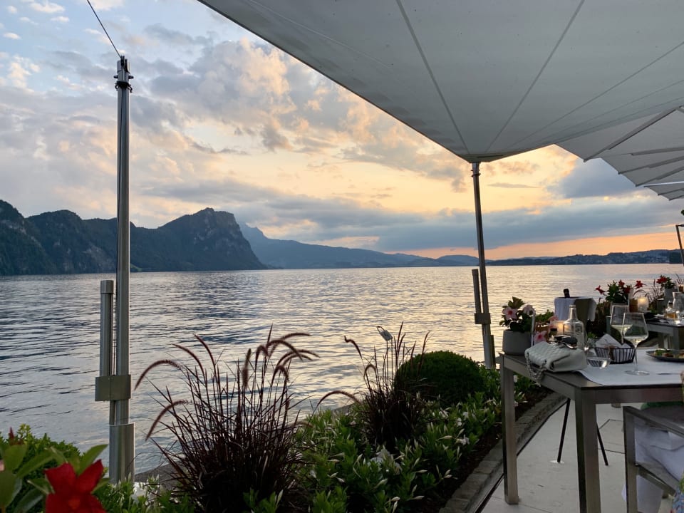 Ausblick Park Hotel Vitznau