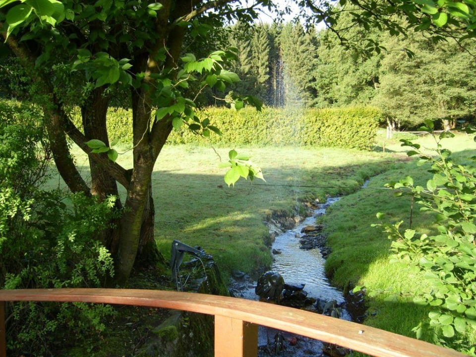 Liebevoll gestaltete Aussenanlagen Hotel Landgasthof Mücke