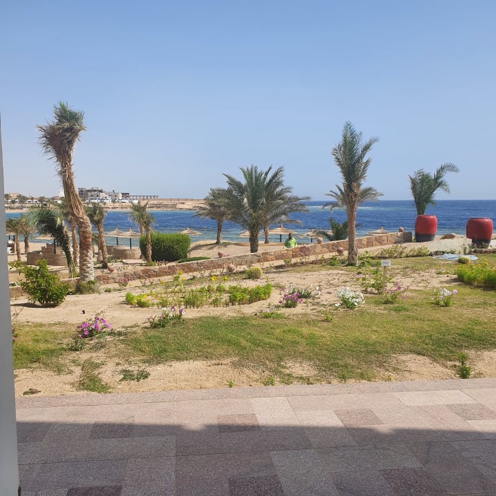 Zimmer Coral Sun Beach