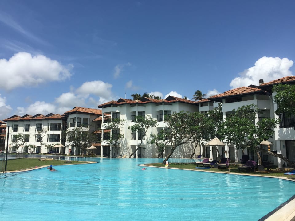 Pool Club Hotel Dolphin