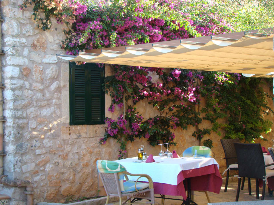 Unser Lieblingsplatz morgens Hotel Son Trobat Wellness & Spa