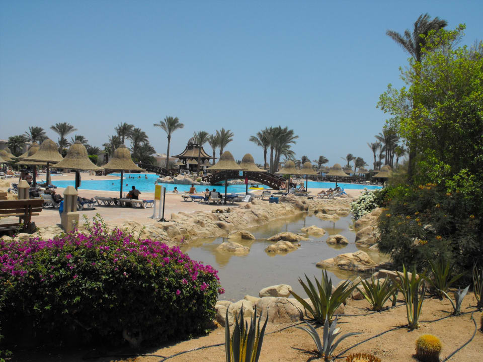 Schön angelegt Parrotel Beach Resort