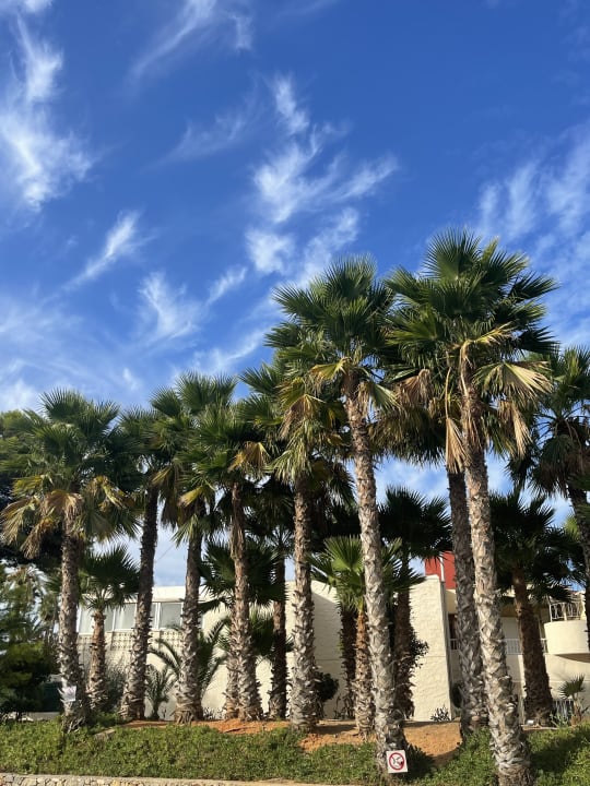 Gartenanlage Club Can Bossa