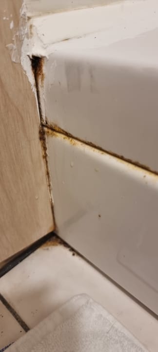 Zimmer Pine Beach Belek