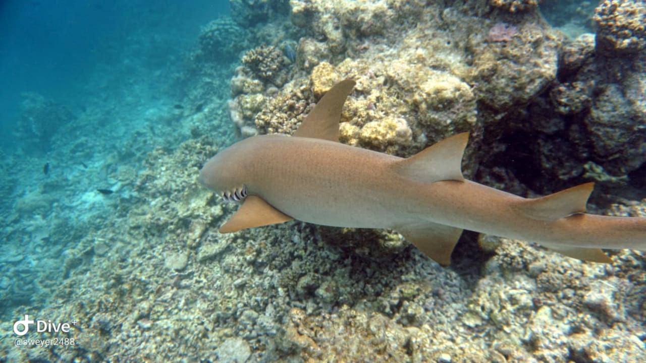 Sport & Freizeit Summer Island Maldives