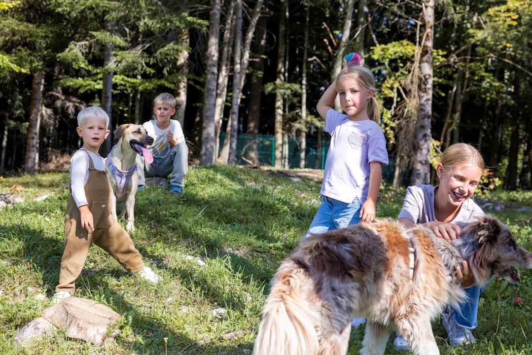 Sport & Freizeit Narzissendorf Zloam - Grundlsee