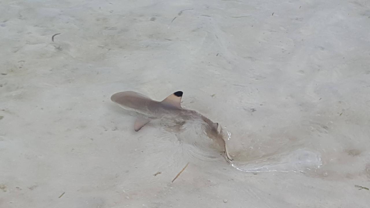 Hai Kuredu Island Resort & Spa