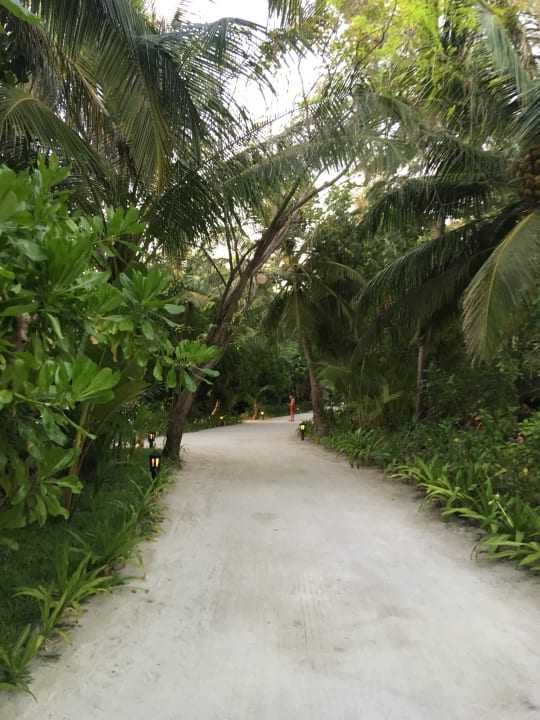 Gartenanlage Sun Siyam Olhuveli