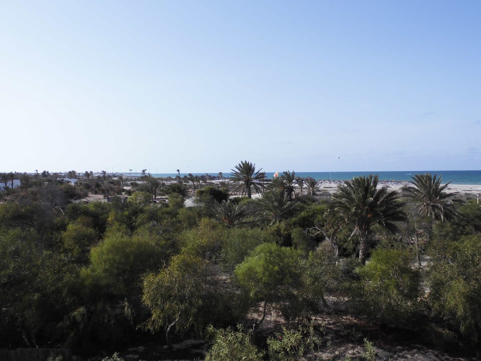Meerblick aus unserem Zimmer Iberostar Waves Mehari Djerba