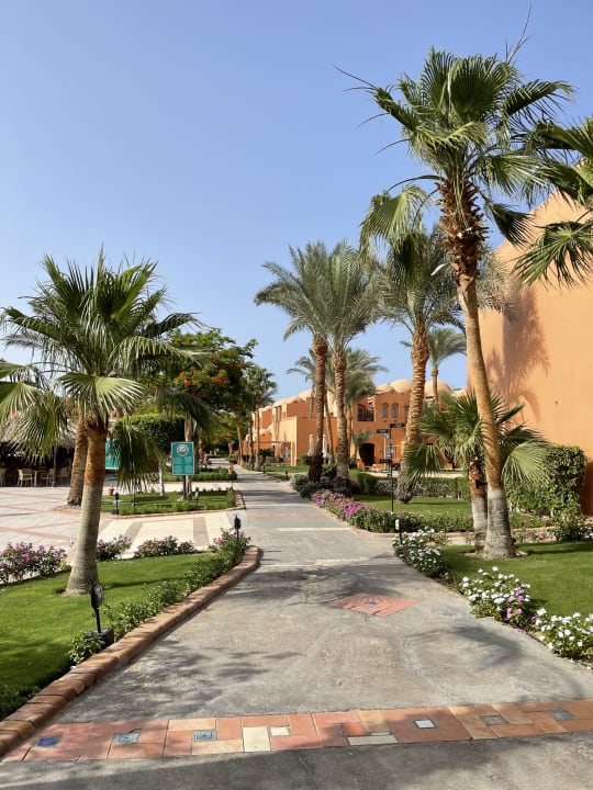 Gartenanlage Jaz Makadi Oasis Resort