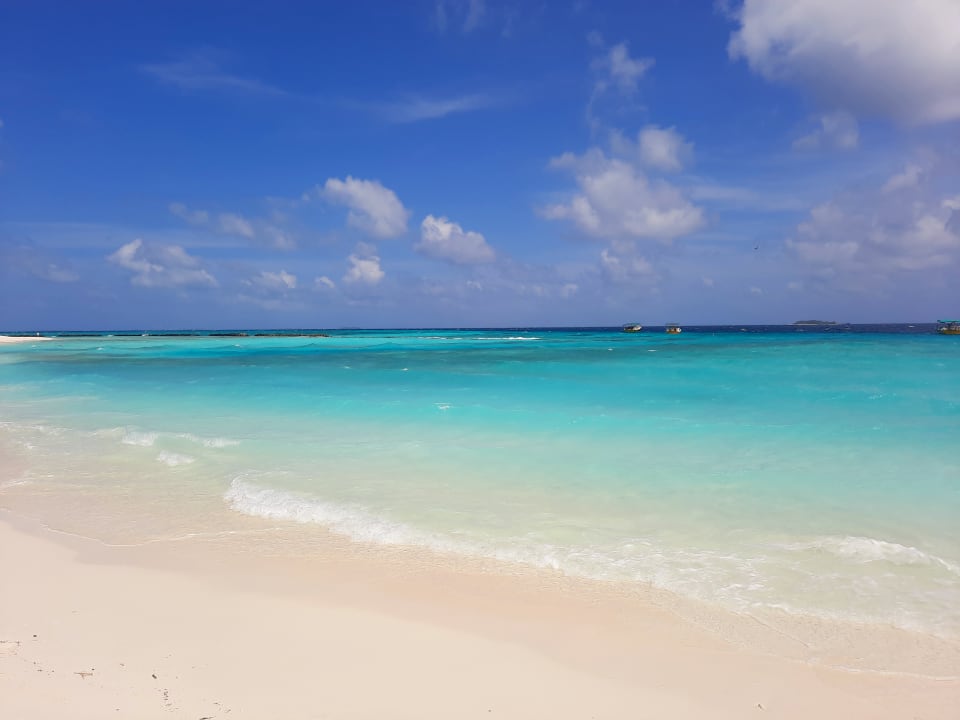 Strand Summer Island Maldives