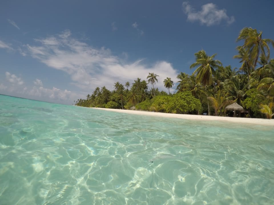 Strand Filitheyo Island Resort