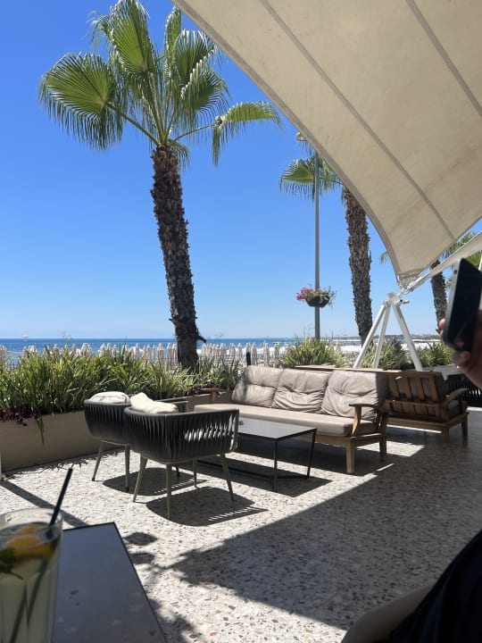 Sonstiges PALOMA Perissia