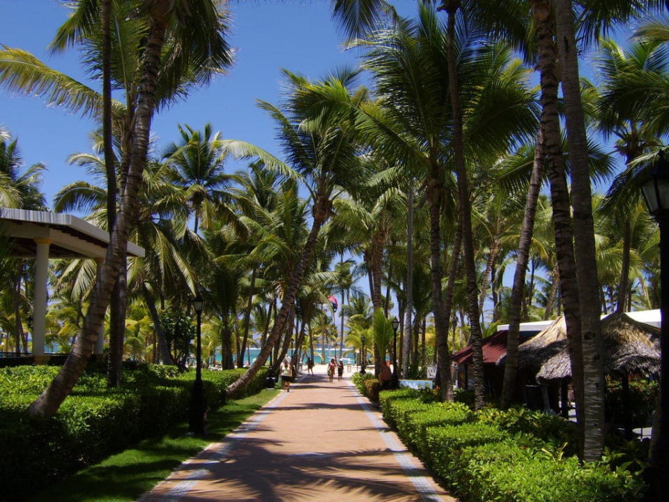 Zum Strand Hotel Riu Bambu