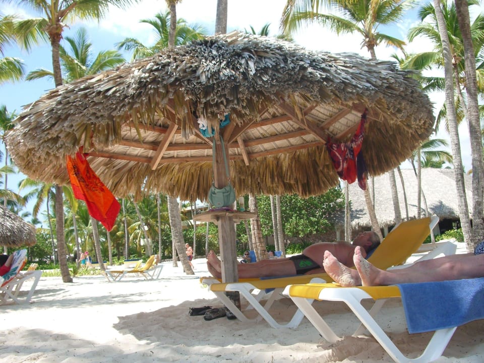 Pilz gibt genügend Schatten Catalonia Punta Cana - All Inclusive