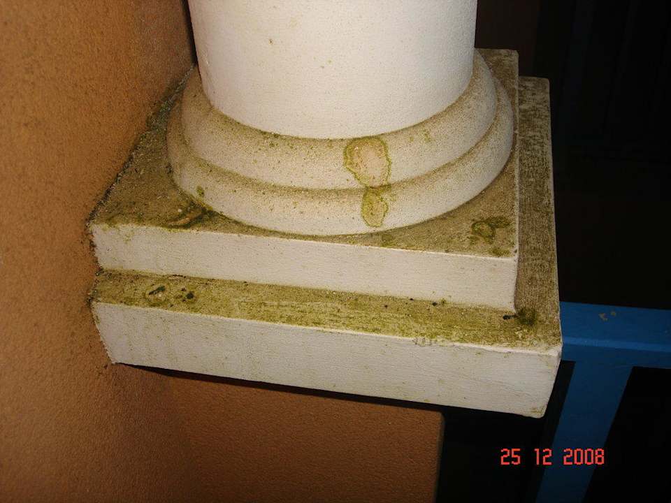 Schimmel Iberostar Origin Playa Alameda